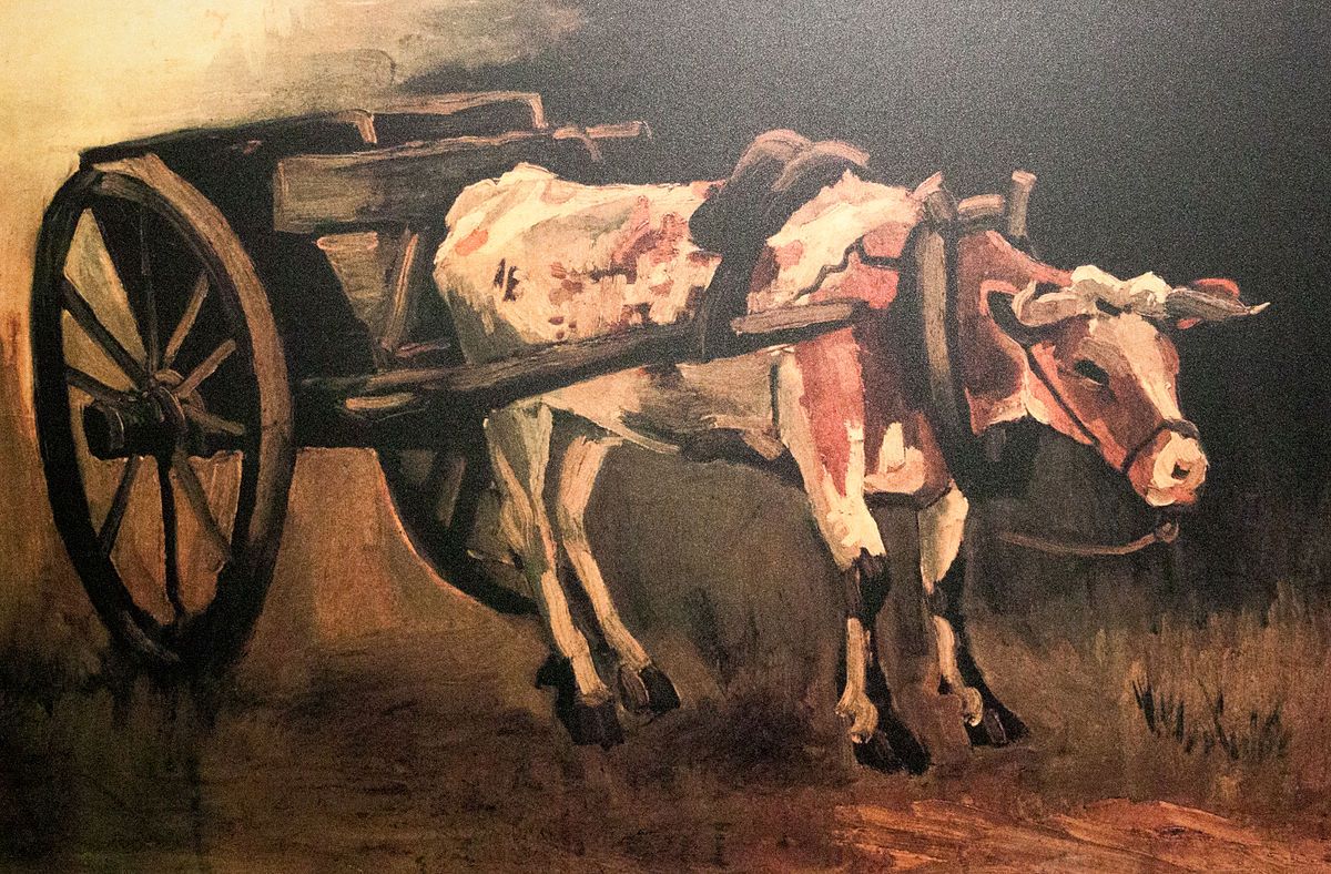 Cart with reddish-brown ox 1884 Jul.jpg