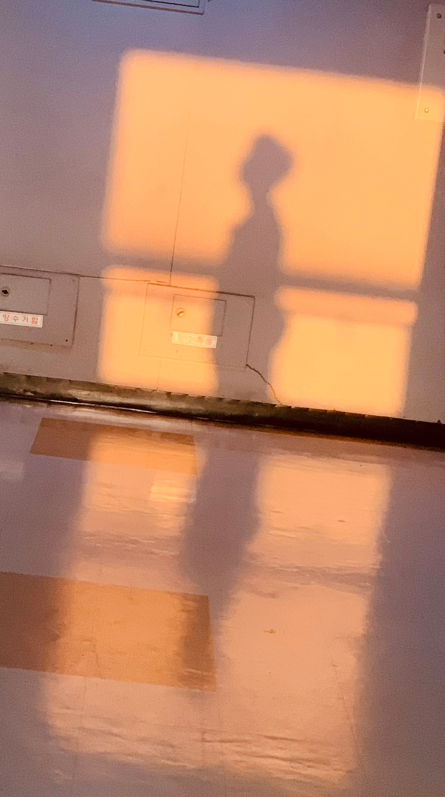 노을 속 나.jpg