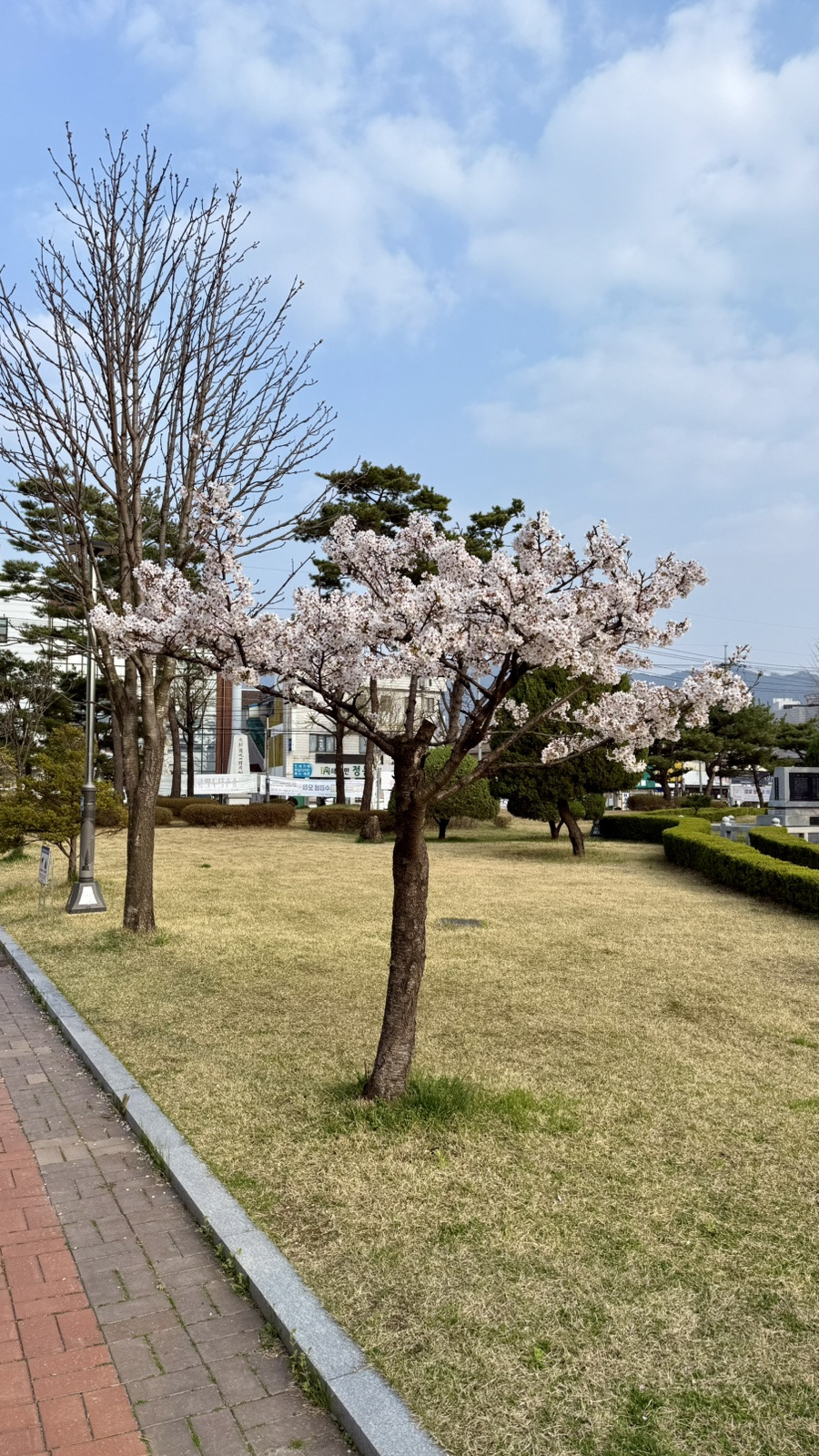 카지노 게임 사이트