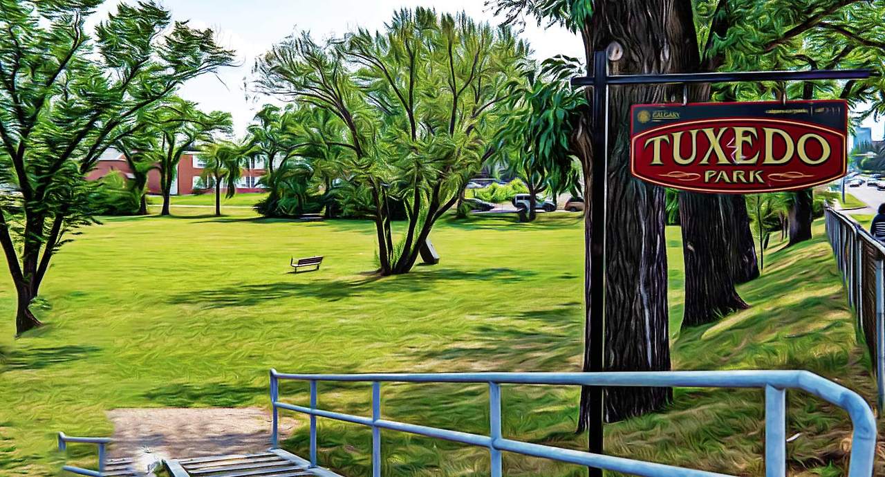 Tuxedo-Parkl-Calgary-neighbourhood-guide-therentlist.ca_.jpg