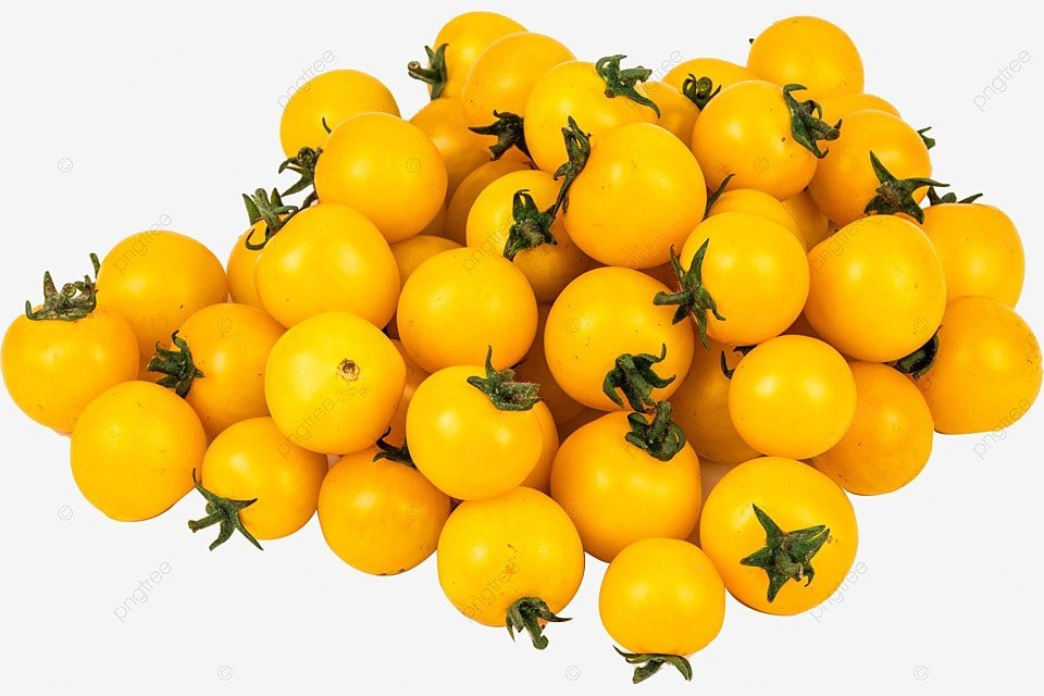 pngtree-yellow-tomatoes-fruit-png-image_3936403.jpg
