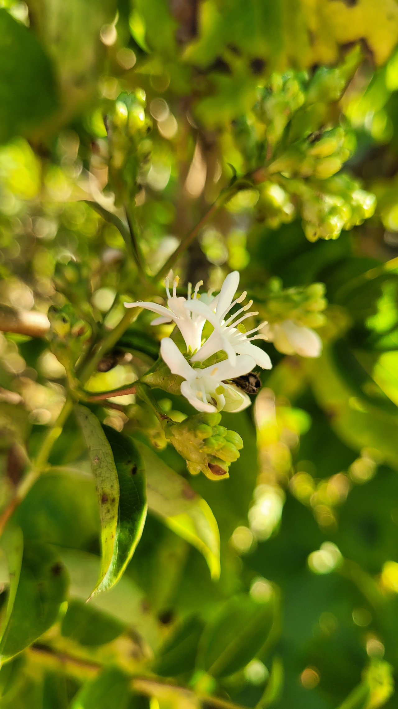 3-8 오늘의 배경화면.jpg