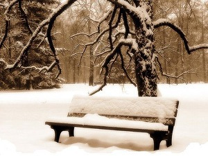눈_내린_벤치.jpg