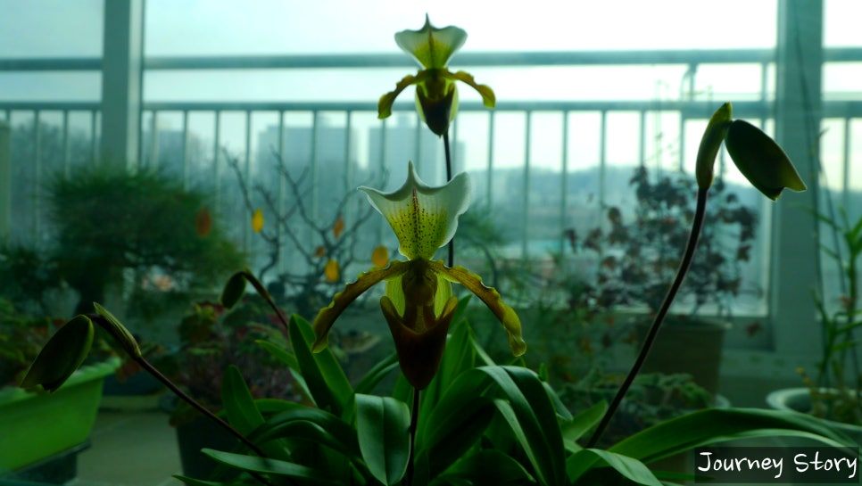 SE-47c5dc36-76e6-4746-90bc-ae1731d2d655 (1).jpg