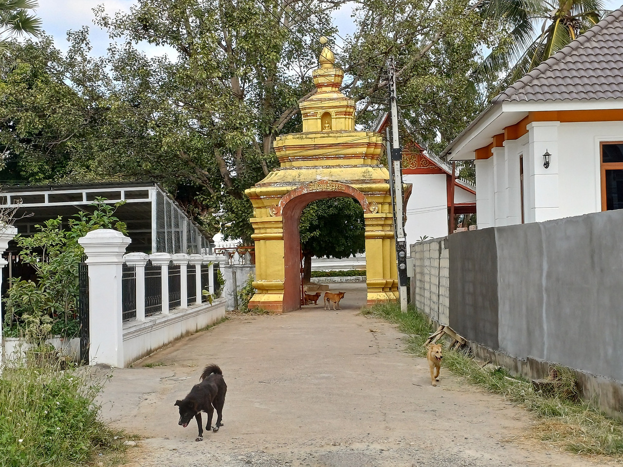 20241222_131015 (1).jpg