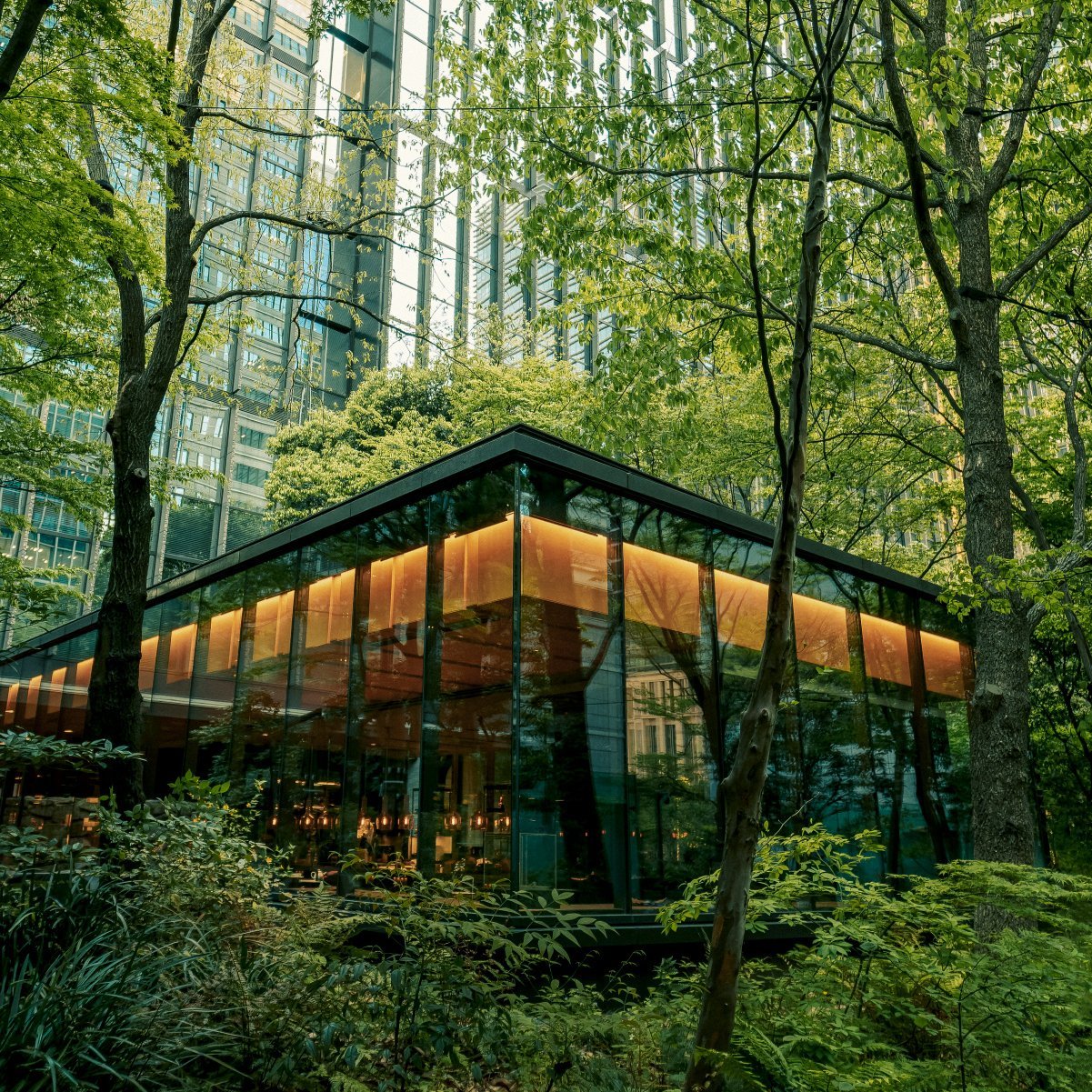 aman_tokyo_japan_-_fb_the_cafe_by_aman_forest_exterior.jpg