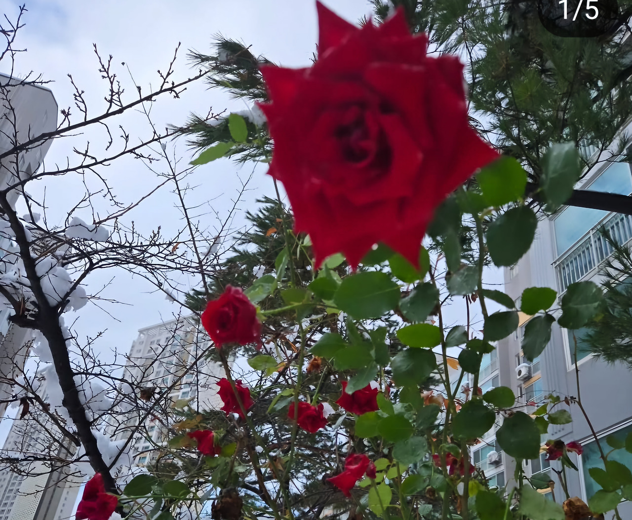 온라인 카지노 게임