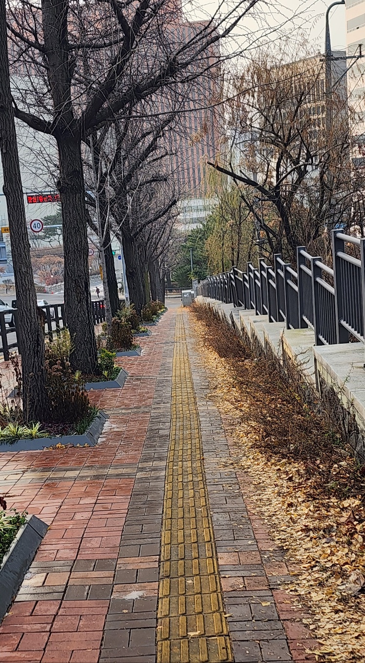 백범광장 가는 길.jpg