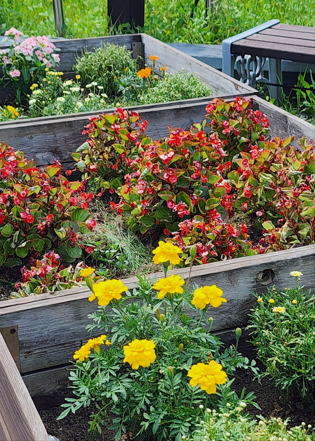 옥상정원 (3).jpg