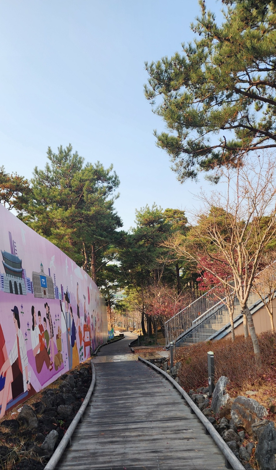 기억 소나무길.jpg