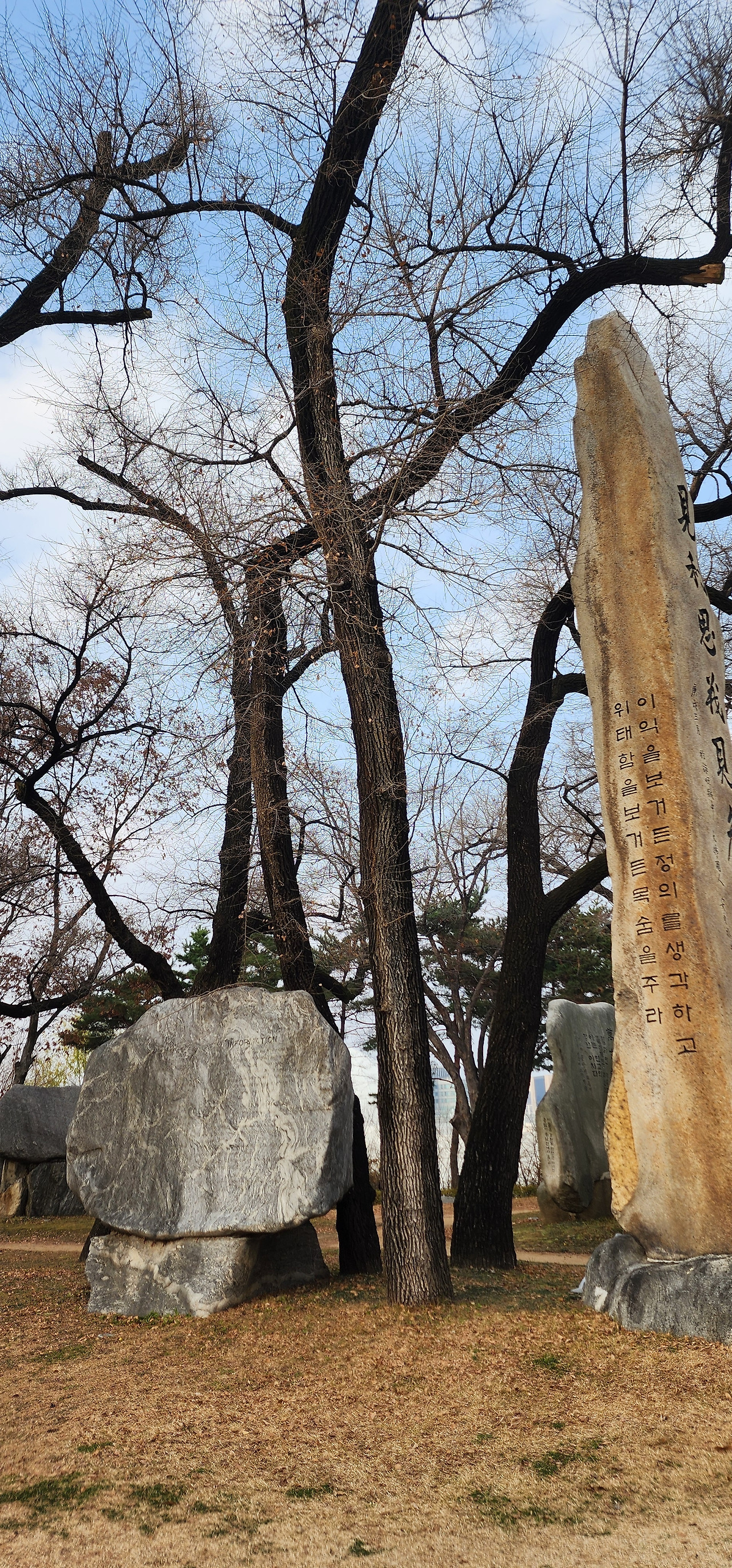 안중근 정원4.jpg