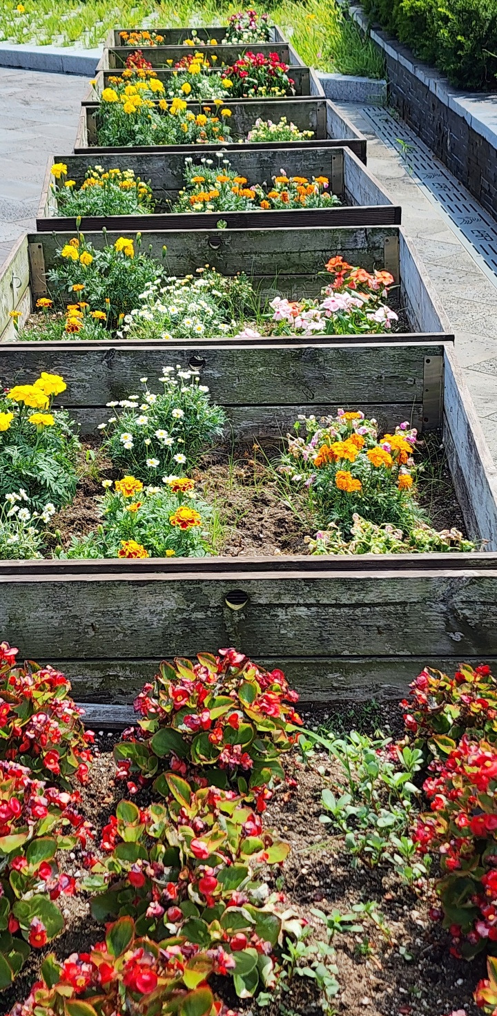 옥상정원 (2).jpg