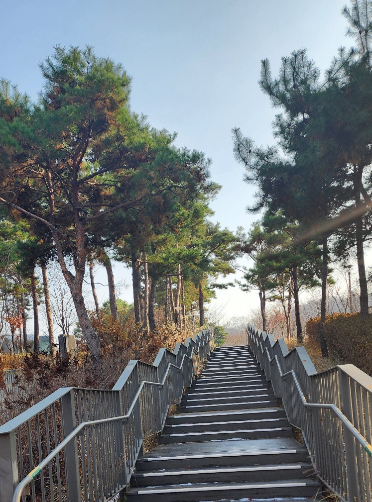 기억 가는 길.jpg