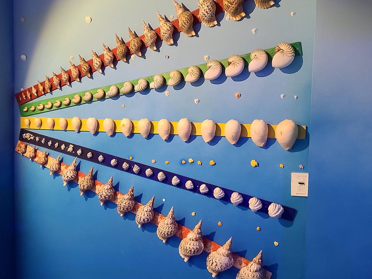 452958299_10161809286469658_5541041018178026404_n (1).jpg