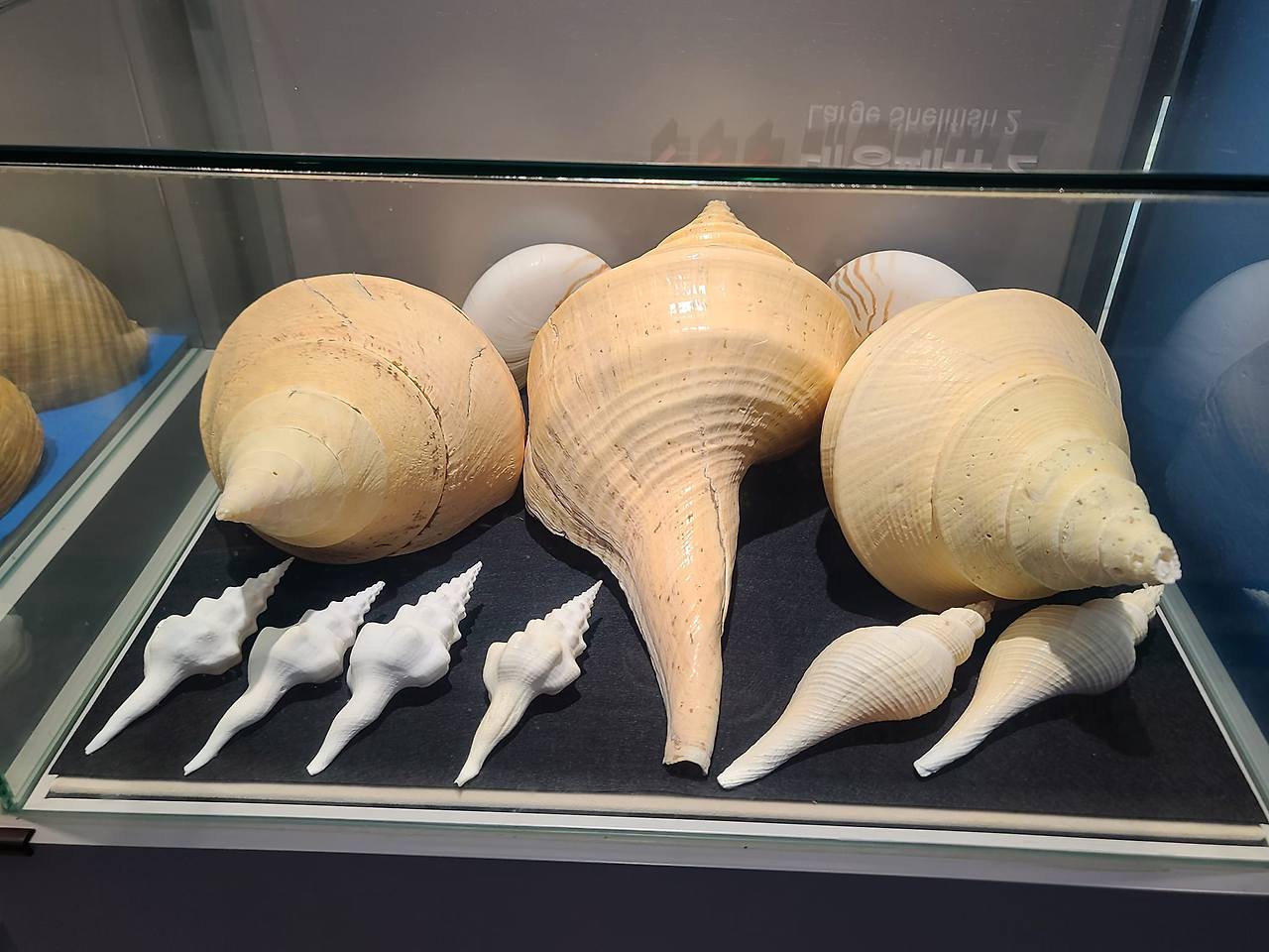 453198392_10161809286639658_6335296436574857722_n (1).jpg