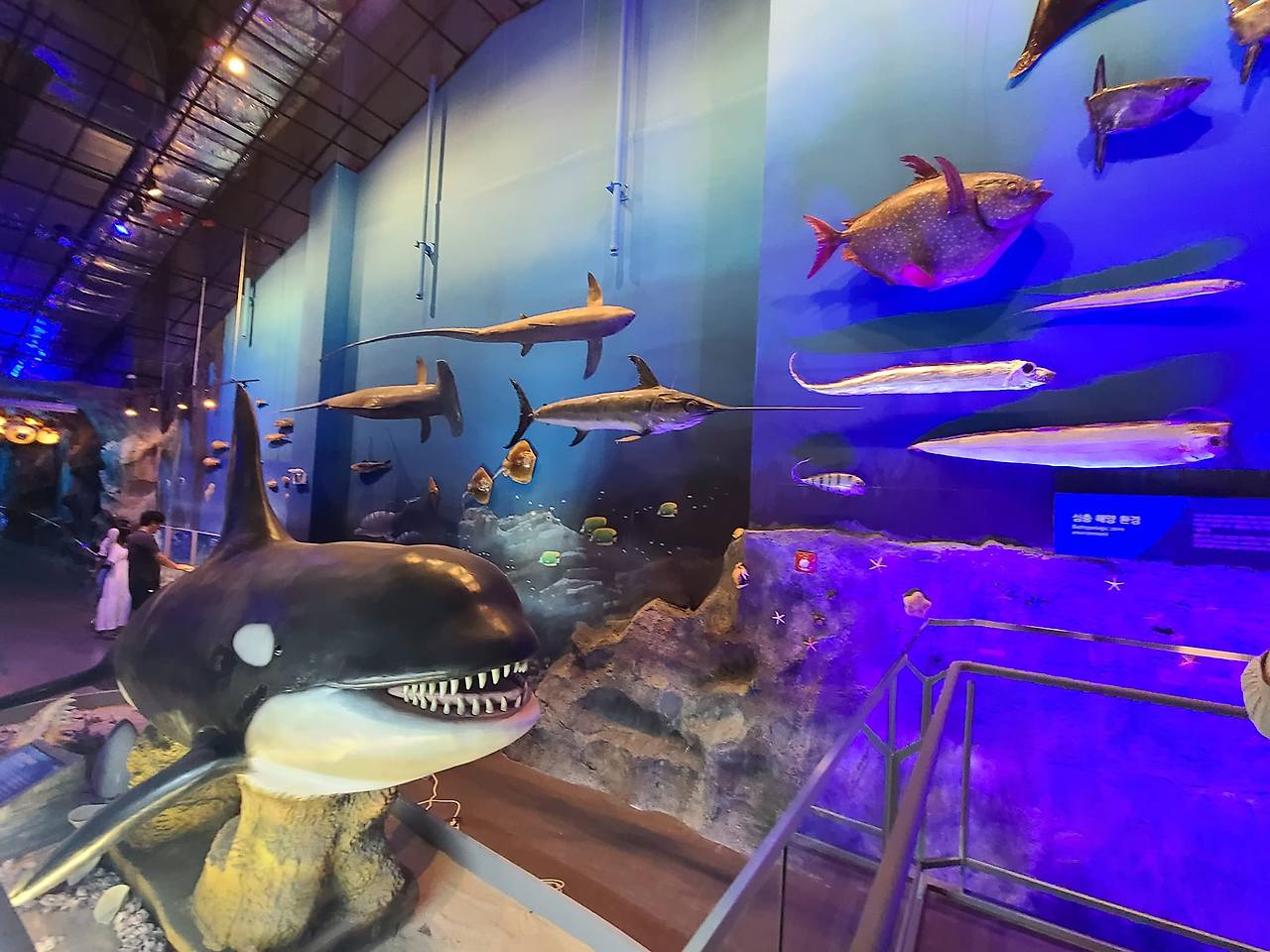 453199364_10161808413119658_8965572352479528961_n (1).jpg