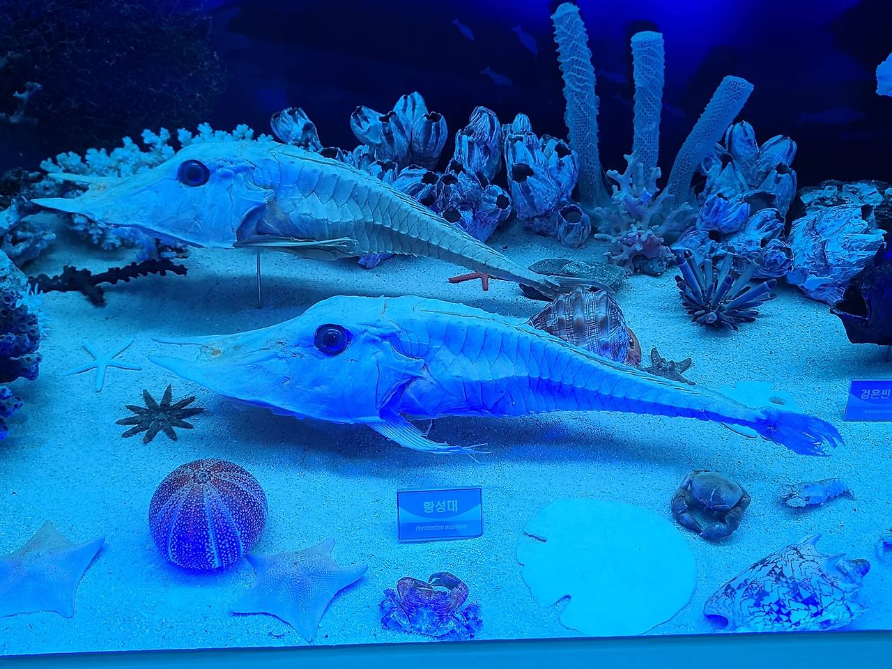 453222901_10161808413244658_8906704625473440177_n (1).jpg