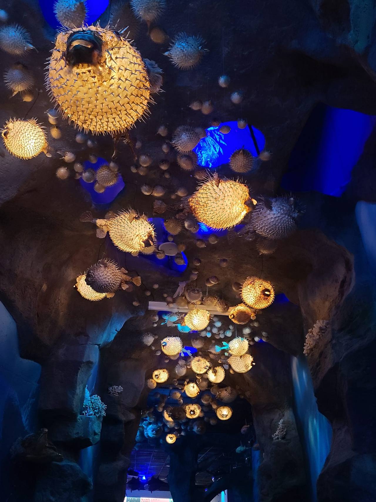 453241212_10161809286374658_106070699533603928_n (1).jpg