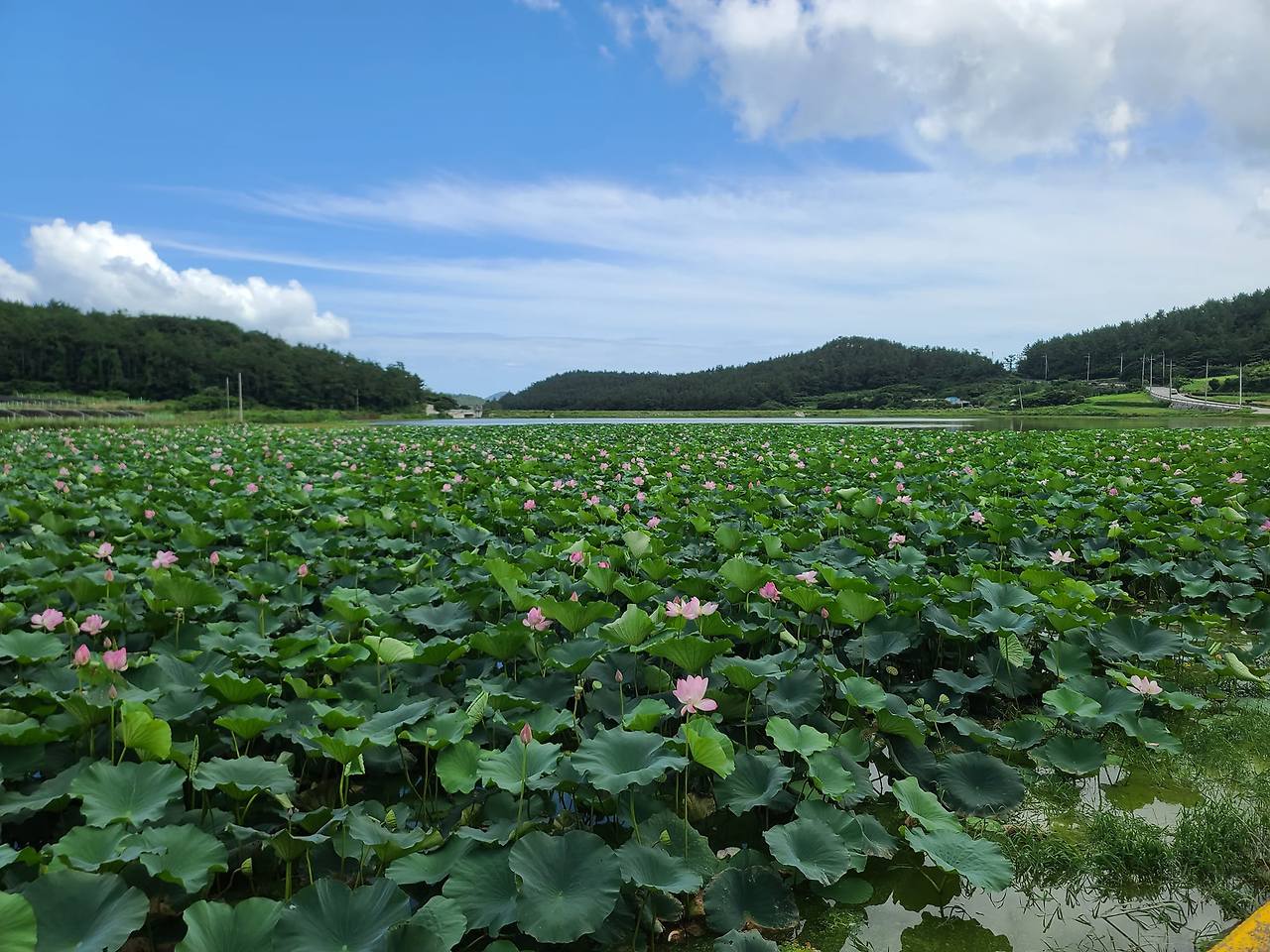 453222437_10161808411139658_9072138193346416994_n (1).jpg