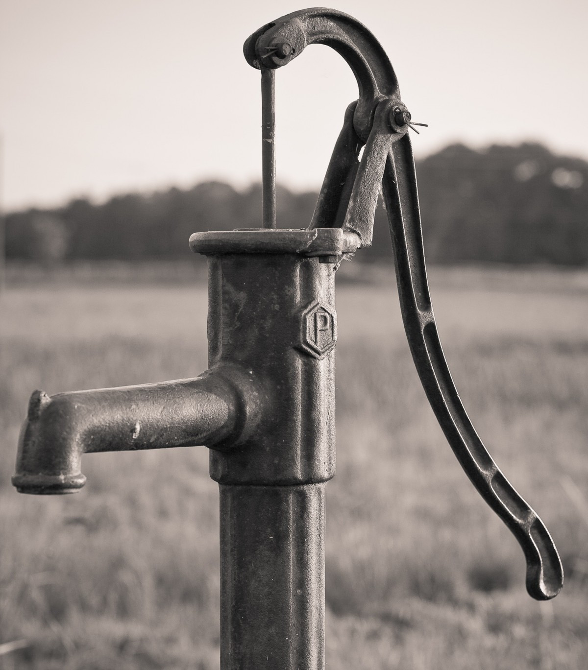water_hand_pump_water_pump_pump_garden_irrigation_cock_pump_old-820944 (1).jpg