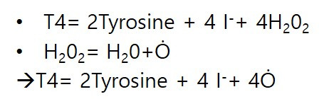 활성산소, 요오드, T4 .jpg