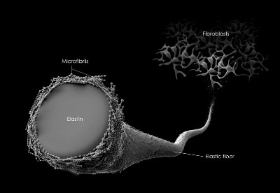 화면 캡처 2024-06-25 154910.jpg
