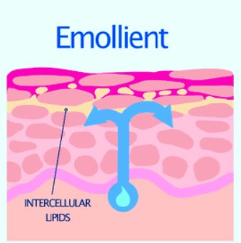 화면 캡처 2024-09-02 100428.jpg