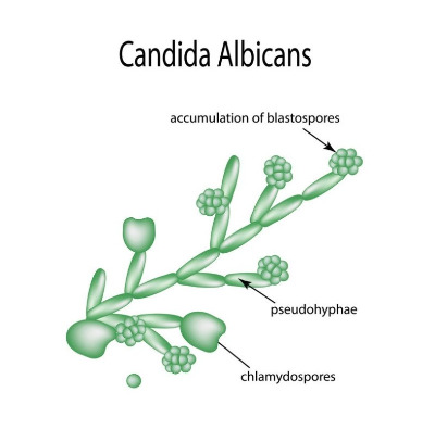 화면 캡처 2024-09-02 101304.jpg