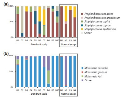 화면 캡처 2024-08-14 154015.jpg