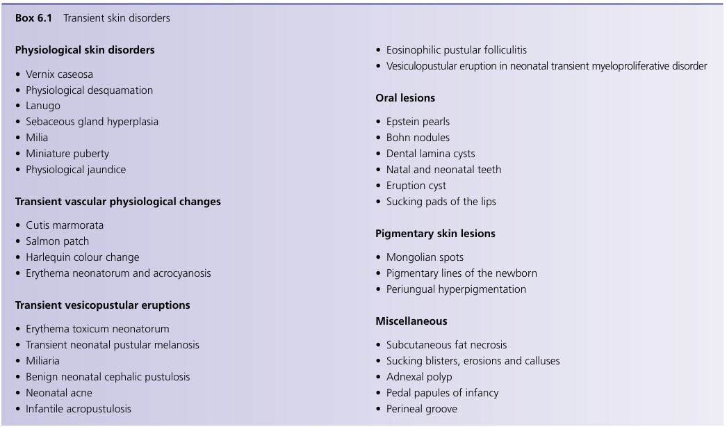 화면 캡처 2024-09-10 145559.jpg