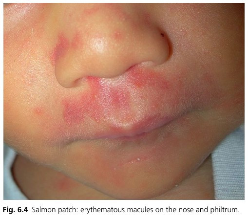 화면 캡처 2024-09-10 160641.jpg