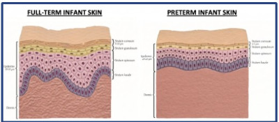 화면 캡처 2024-08-20 144457.jpg