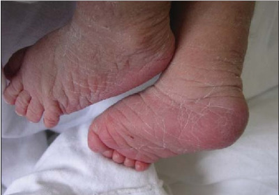 화면 캡처 2024-09-10 151817.jpg