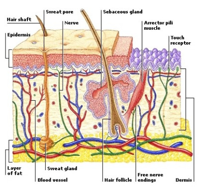 화면 캡처 2024-06-25 155621.jpg