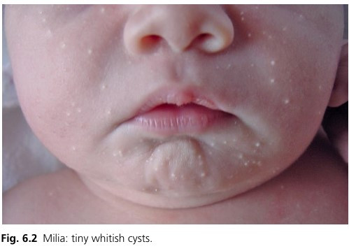 화면 캡처 2024-09-10 153532.jpg