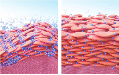 화면 캡처 2024-08-20 144856.jpg