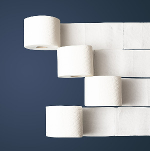 toilet-paper-4974461_1280.jpg