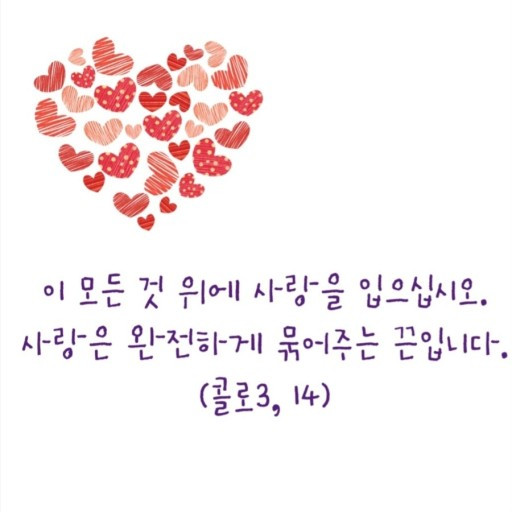 카지노 가입 쿠폰