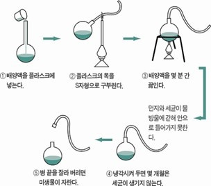 파스테르실험.jpg