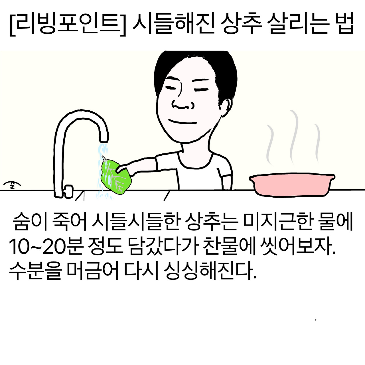 [리빙포인트] [리빙포인트] 