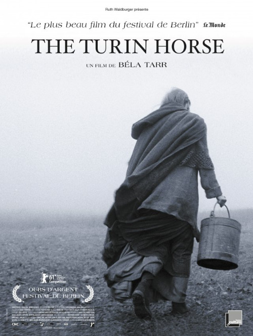 image_manager__poster-m-hidpi_the_turin_horse__affiche.jpg