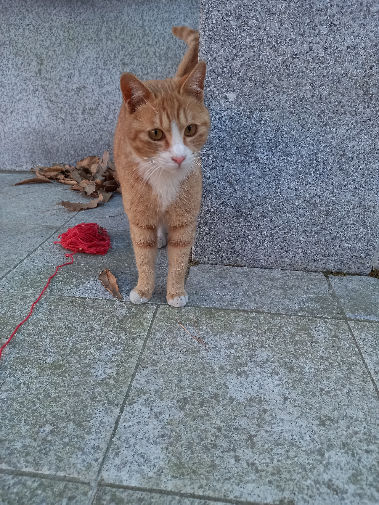 20210224_164616 (1).jpg