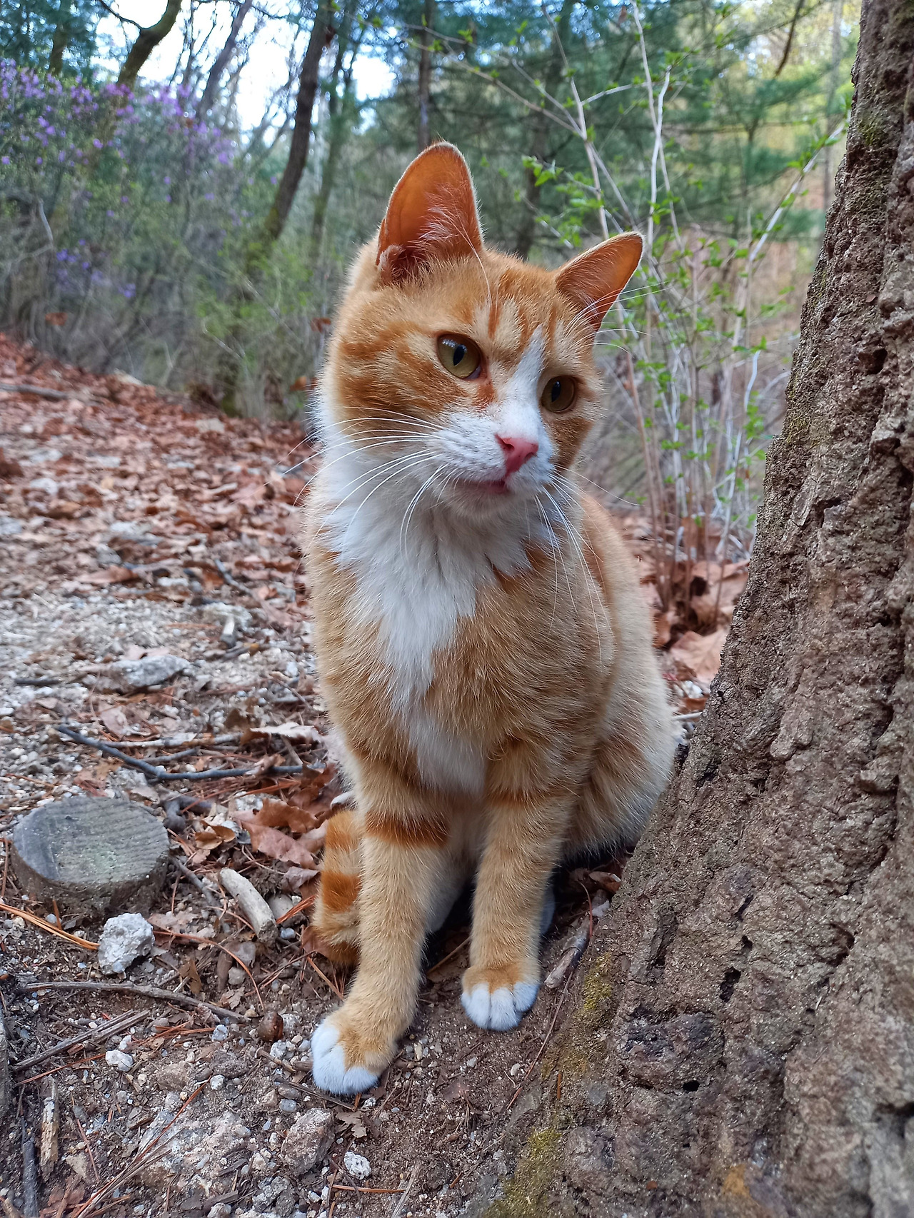 20210401_072127 (1).jpg