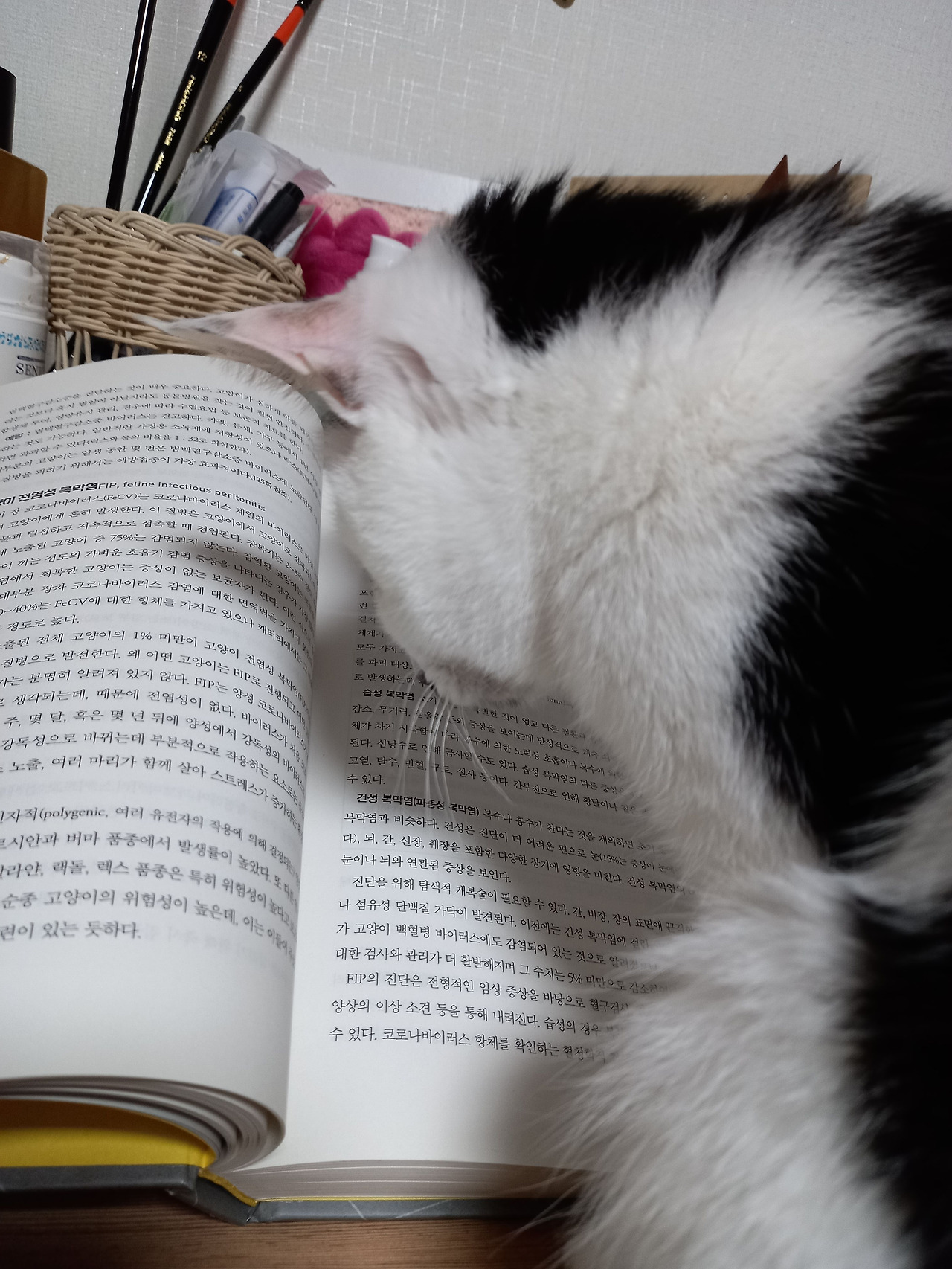 20221107_225257 (1).jpg