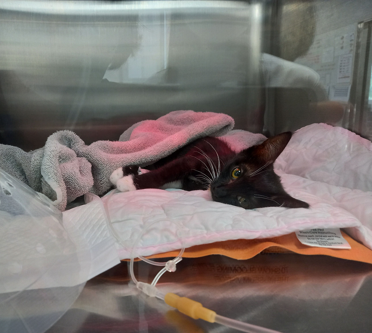 20220718_115521 (1).jpg