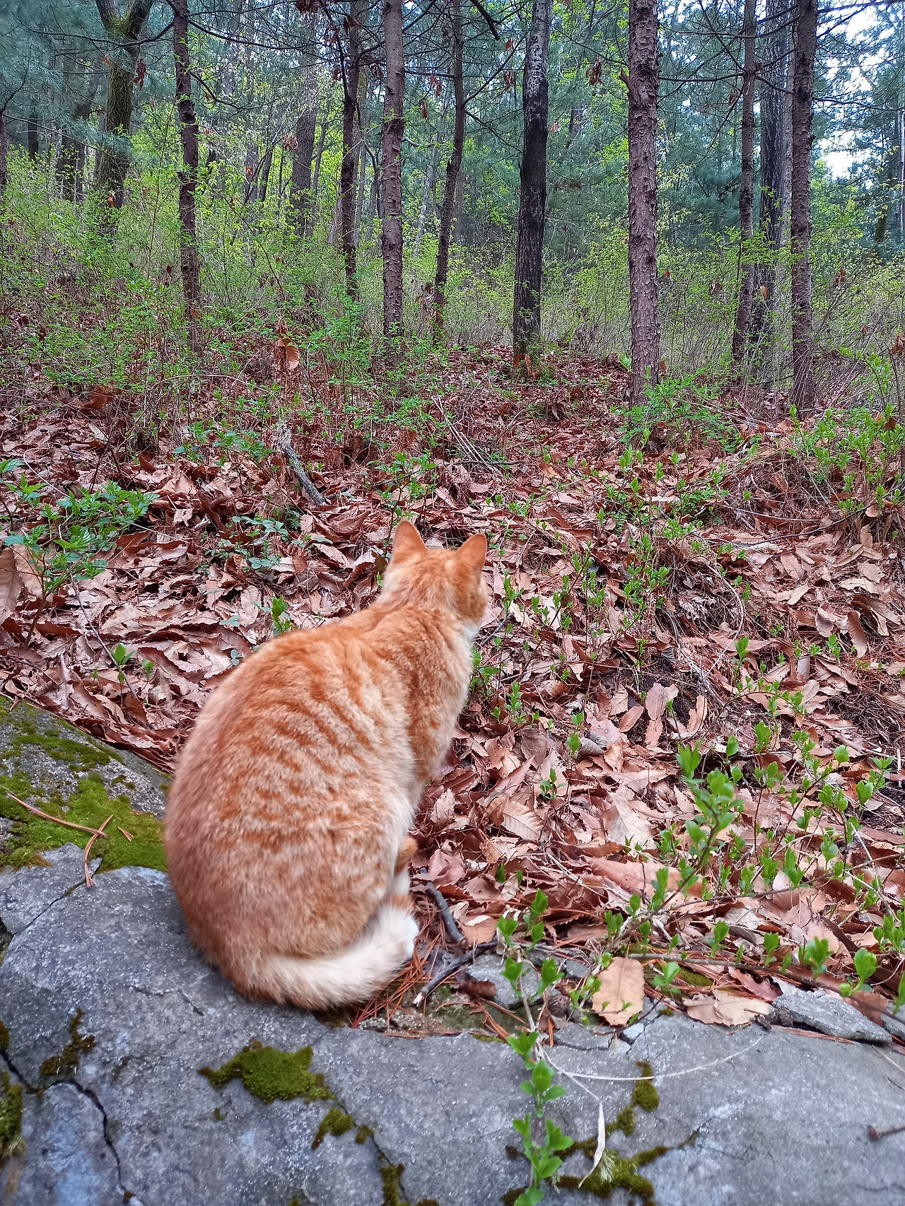 20210406_071338 (1).jpg