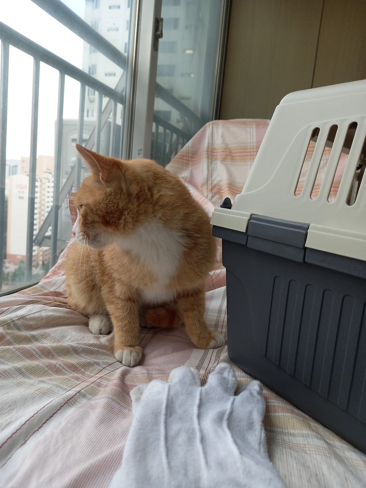 20210406_073932 (1).jpg