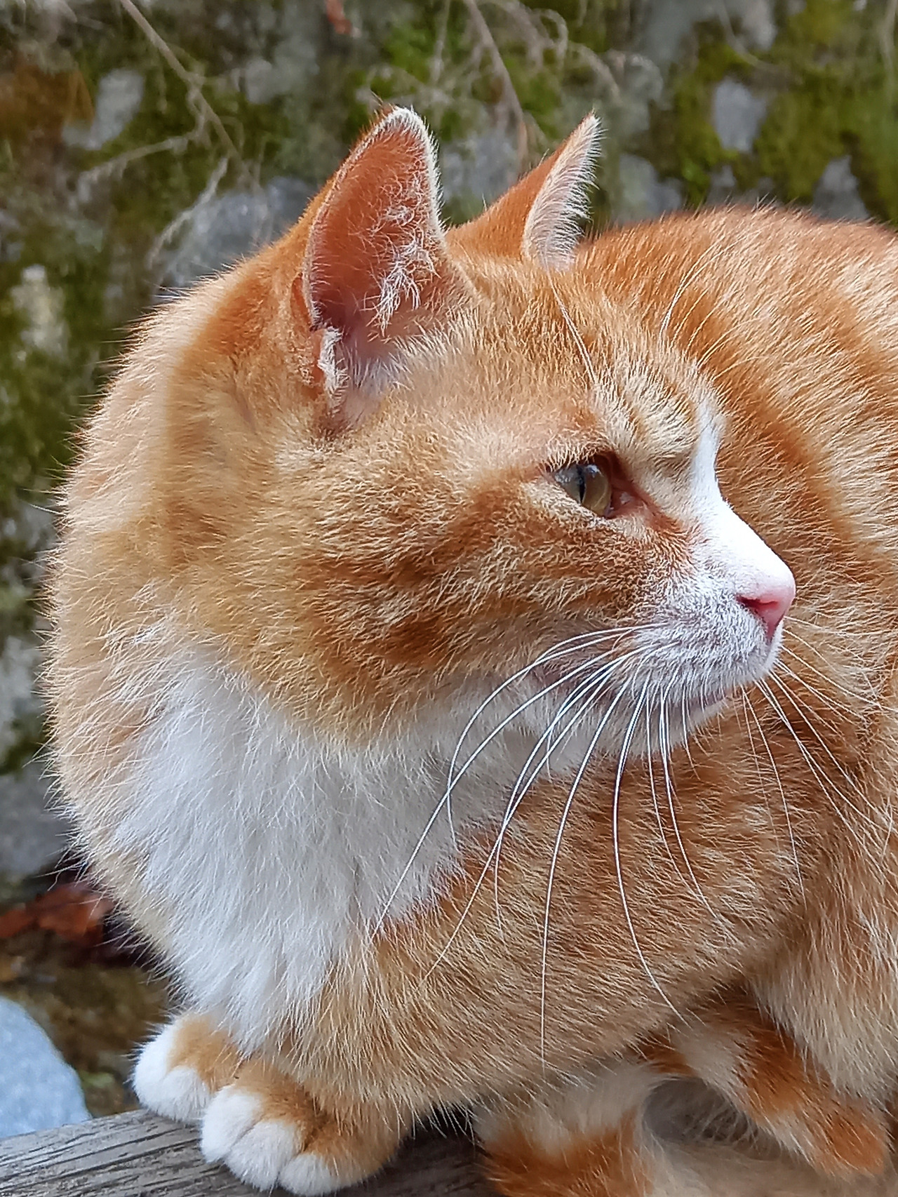 20210330_074047 (2).jpg