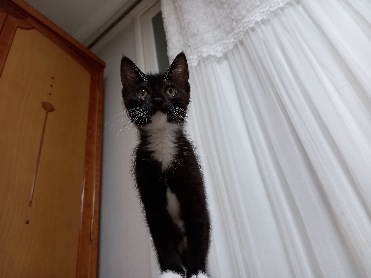 20220628_210608 (1).jpg