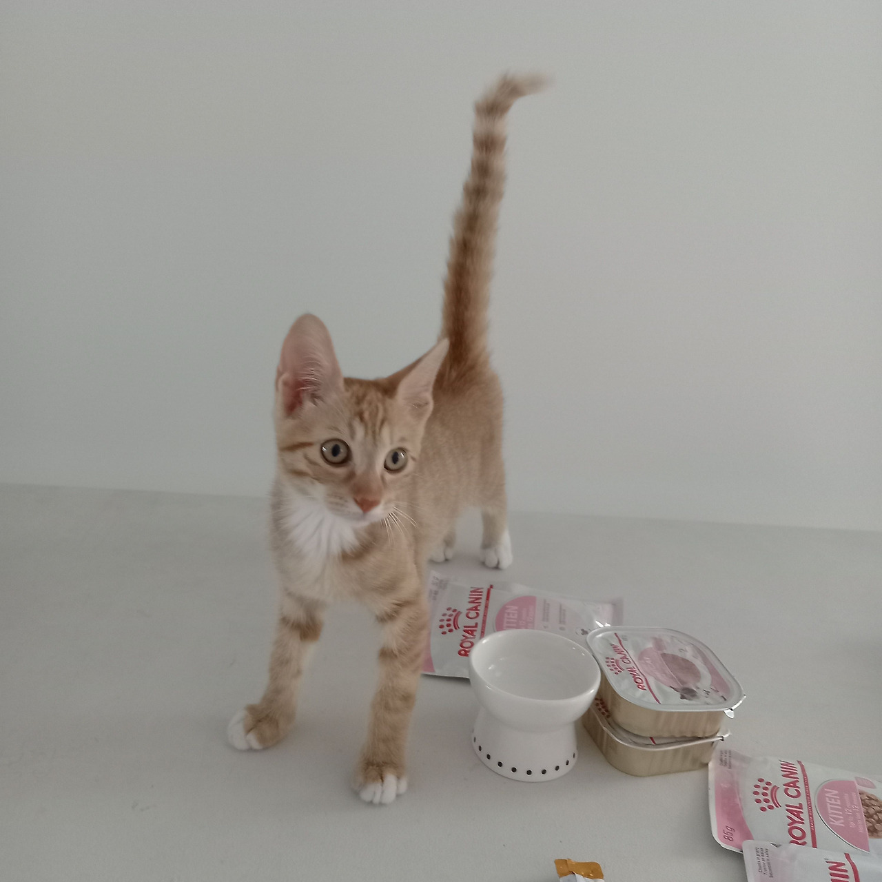 20230817_075507 (1).jpg